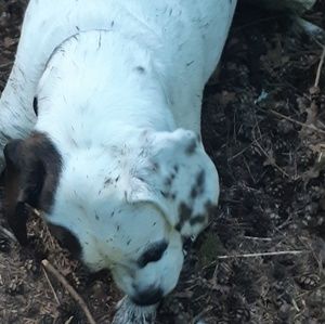 Meet your Posher, Dan